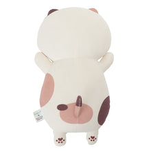 【予約商品】ふくふくにゃんこ ファミッペHAPPY BOX