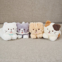 ふくふくにゃんこ ごろにゃんぬいぐるみ(ハッチ・しろたまちゃん)