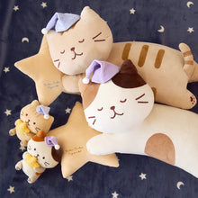 ふくふくにゃんこ おやすみにゃんこミニ抱き枕