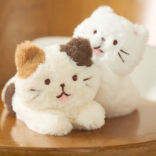 ふくふくにゃんこ ごろにゃんぬいぐるみ(ハッチ・しろたまちゃん)