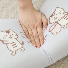 ふくふくにゃんこ しゃぼんマルチピロー