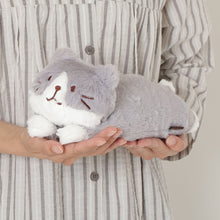ふくふくにゃんこ ぬいぐるみ ペンポーチ(ハッチ・しろたまちゃん)