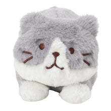 ふくふくにゃんこ ぬいぐるみ ペンポーチ(ハッチ・しろたまちゃん)