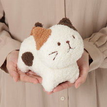 ふくふくにゃんこ みつめてマスコット&ポスターセット【WEB限定】