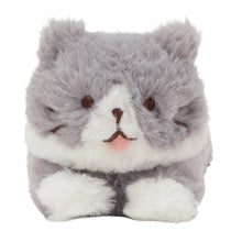ふくふくにゃんこ ごろにゃんぬいぐるみ(ハッチ・しろたまちゃん)