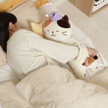 ふくふくにゃんこ おやすみにゃんこミニ抱き枕