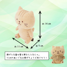 ふくふくにゃんこ おすわりマスコット&ポスターセット【WEB限定】