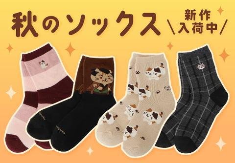 【新作入荷】秋のソックス特集♪♪