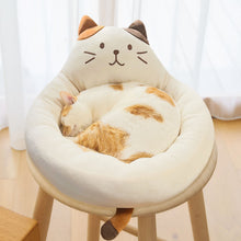 ふくふくにゃんこ ペットベッド【WEB限定】