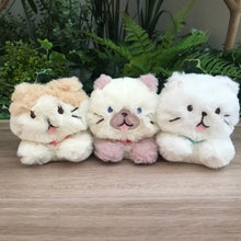 ふくふくにゃんこ ごろにゃんぬいぐるみ(ハッチ・しろたまちゃん)