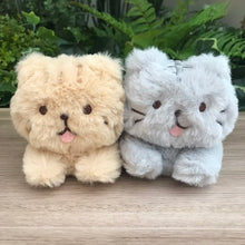 ふくふくにゃんこ ごろにゃんぬいぐるみ(ハッチ・しろたまちゃん)