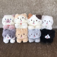 ふくふくにゃんこ ごろにゃんぬいぐるみ&ポスターセット【WEB限定】
