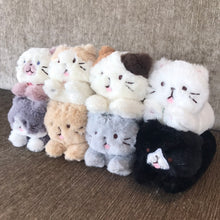 ふくふくにゃんこ ごろにゃんぬいぐるみ(サバ太・クロ助・スコア・シャーシャ)