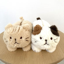 ふくふくにゃんこ ぬいぐるみペンポーチ(ミケランジェロ・チャチャ丸)