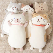 ふくふくにゃんこ もっちり抱きぐるみ