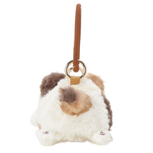  ふくふくにゃんこ　おでかけにゃんこポシェット【WEB限定】
