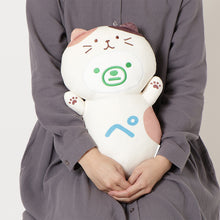  【予約商品】ふくふくにゃんこ ファミッペHAPPY BOX
