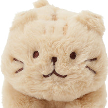  ふくふくにゃんこ  ぬいぐるみペンポーチ（ミケランジェロ・チャチャ丸）

