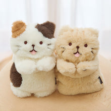  ふくふくにゃんこ ごろにゃんぬいぐるみ（ミケランジェロ・チャチャ丸）
