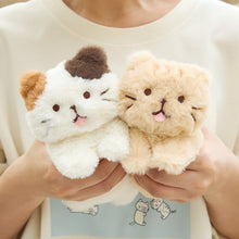  ふくふくにゃんこ ごろにゃんぬいぐるみ＆ポスターセット【WEB限定】
