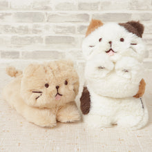  ふくふくにゃんこ ごろにゃんぬいぐるみ（ミケランジェロ・チャチャ丸）
