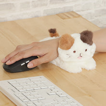  ふくふくにゃんこ ごろにゃんぬいぐるみ（サバ太・クロ助・スコア・シャーシャ）
