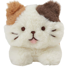  ふくふくにゃんこ ごろにゃんぬいぐるみ（ミケランジェロ・チャチャ丸）
