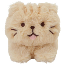  ふくふくにゃんこ ごろにゃんぬいぐるみ（ミケランジェロ・チャチャ丸）
