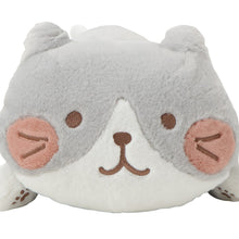  ふくふくにゃんこ まんまるほっぺ寝そべりクッション 【WEB限定】【海外向け商品】
