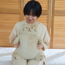  ふくふくにゃんこ 肯定感　抱きまくら
