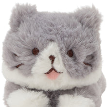  ふくふくにゃんこ ごろにゃんぬいぐるみ（ハッチ・しろたまちゃん）
