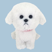  PUPS! ぬいぐるみ(S)ビションフリーゼ
