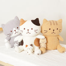  ふくふくにゃんこ はじめてセット
