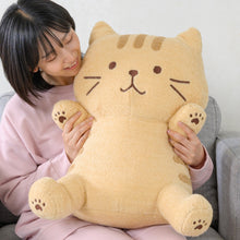  ふくふくにゃんこ ぽわぽわBIG抱きぐるみ＆ポスターセット【WEB限定】
