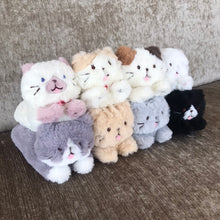  ふくふくにゃんこ ごろにゃんぬいぐるみ（サバ太・クロ助・スコア・シャーシャ）
