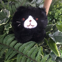  ふくふくにゃんこ ごろにゃんぬいぐるみ（ミケランジェロ・チャチャ丸）
