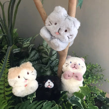  ふくふくにゃんこ ごろにゃんぬいぐるみ（サバ太・クロ助・スコア・シャーシャ）
