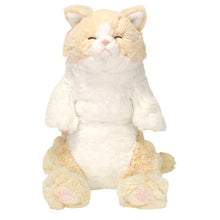  ひざねこ すやすや
