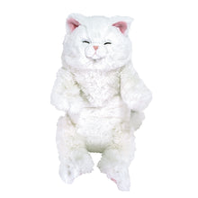  ひざねこ すやすや
