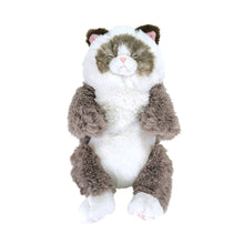  ひざねこ すやすや
