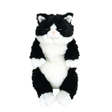  ひざねこ すやすや
