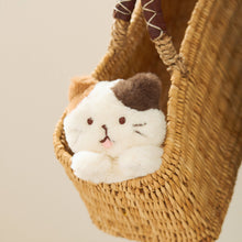  ふくふくにゃんこ ごろにゃんぬいぐるみ（ミケランジェロ・チャチャ丸）
