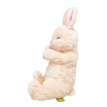  ひざうさぎすやすや
