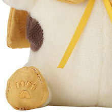  ふくふくにゃんこ 魔法使いおすわりマスコット
