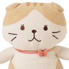  ふくふくにゃんこ ぽわぽわBIG抱きぐるみ（スコア・シャーシャ）
